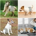 thumbnail image 7 of VIVEFOX Reusable Washable Male Dog Diapers, Belly Bands for Male Dogs Wraps(3 Pack), Reusable Doggy Puppies Nappies(Gray S), 7 of 7