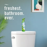 Febreze Air Freshener Spray, Odor-Fighting Room Spray, Gain Original, 8.8oz