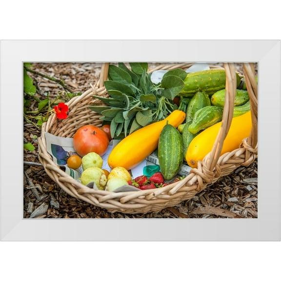 Horton, Janet 14x11 White Modern Wood Framed Museum Art Print Titled - Issaquah-Washington State-USA Basket of freshly harvested produce
