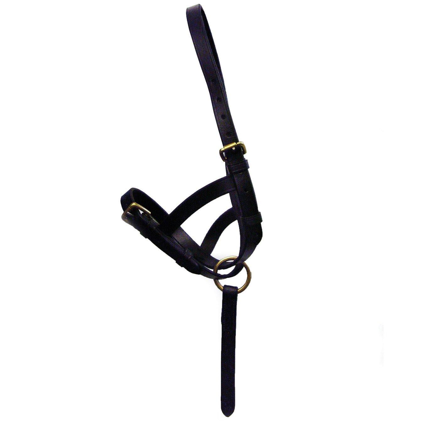 - 3 buckle choose from sizes small, medium, large, x large and colours black or brown fully adjustable to allow for growth. Hy Leather Foal Head Collar