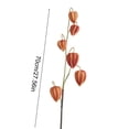 thumbnail image 3 of Sokhug Artificial Lanterns Fruit Stem for Wedding Home Decor, 27.56 Inches, Coffee 1PC, 3 of 6
