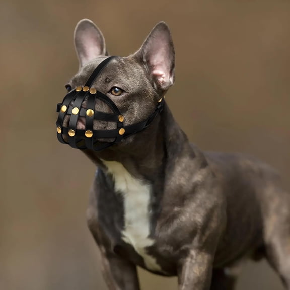 Black Size 2 Leather Basket Muzzle for French Bulldog - Short Snout/Frenchie, Breathable & Adjustable - Prevents Biting/Chewing, Secure Fit