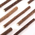 thumbnail image 2 of 30Pcs Natural Silvervine Sticks for Matatabi Chew Sticks Teeth Molar Chew Toys for Cat Teeth Cleaning, 2 of 4