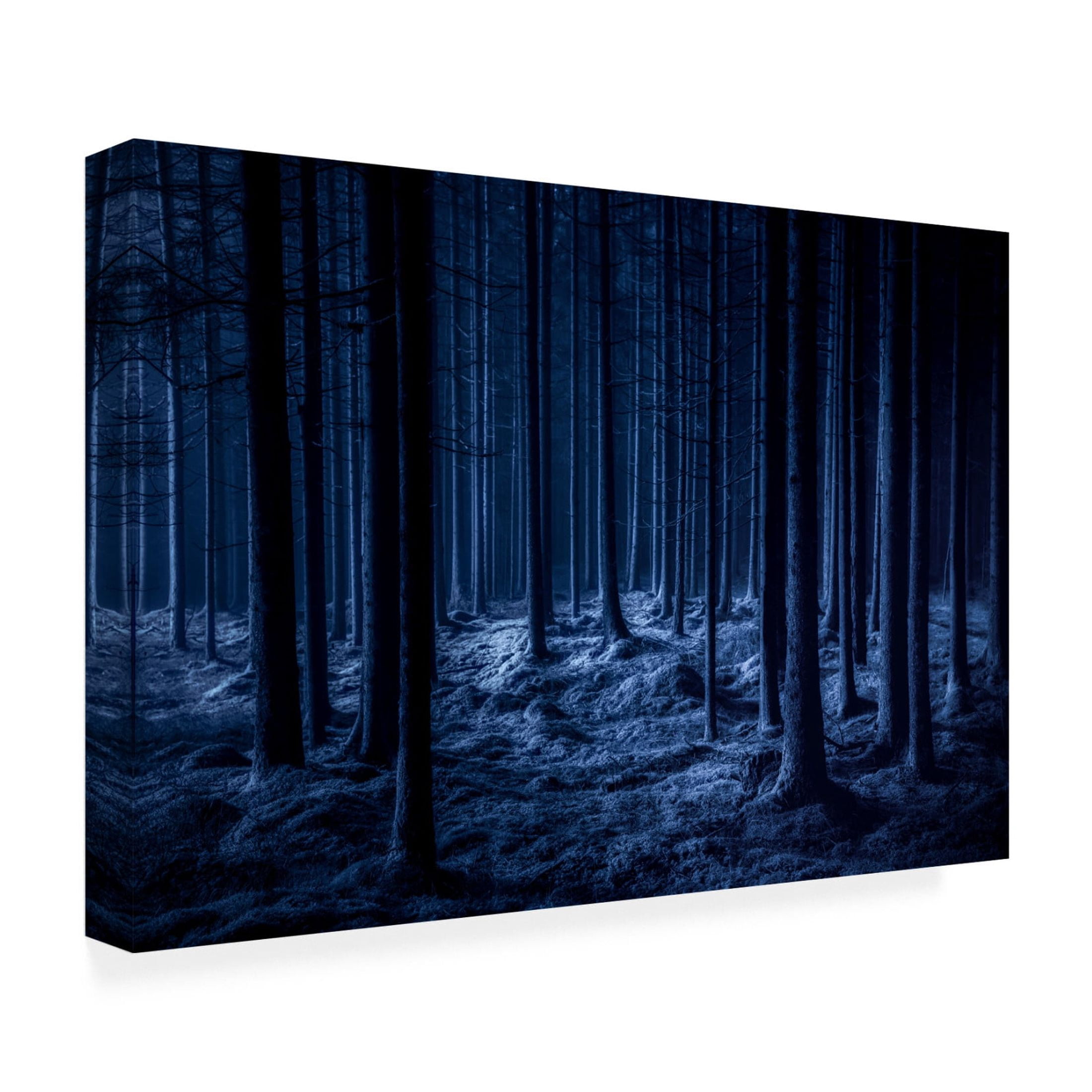 Canvas Wall Art - Benny Pettersson 'Spooky' Wall Art for Living Room, Bedroom, or Office Décor by Trademark Fine Art - 24 x 16 Inches