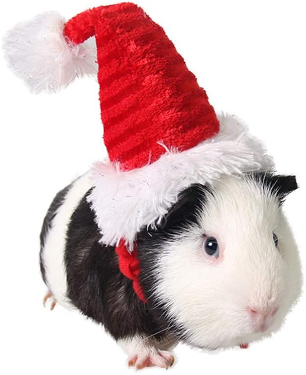 IGUOHAO 2pcs Cat Christmas Hat Santa 