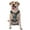 Without Accessories, variant on Naloa Forest Lake White Horse Pet Harness Vest with Traction Rope, Adjustable No-Choke Dog Vest for Outdoor, Walking -