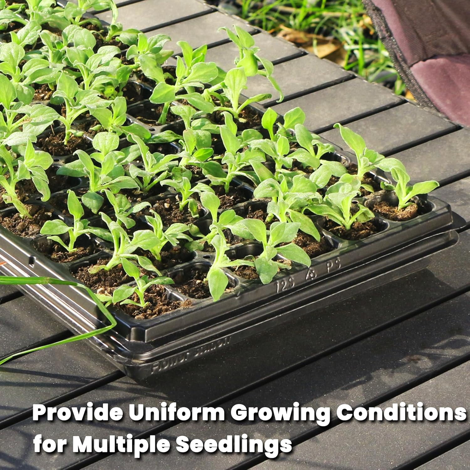 Seed Starter Trays 72 Cell 1.75 Inch Deep Plug Tray Seedlings Drainage Holes 10 Pack