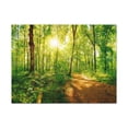 thumbnail image 2 of Green Forest Sunlight Nature Wilderness Photography Canvas Wall Art for Home Decor Ready-to-Hang, 2 of 18