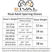 Rival Boxing Evolution Hook and Loop Sparring Gloves - 12 oz. - Black