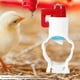 thumbnail image 1 of Dnzceghtig 20 unids/pack automático alimentador de pollo pezones dispensador de agua potable para aves de corral para 25mm tubería, 1 of 8