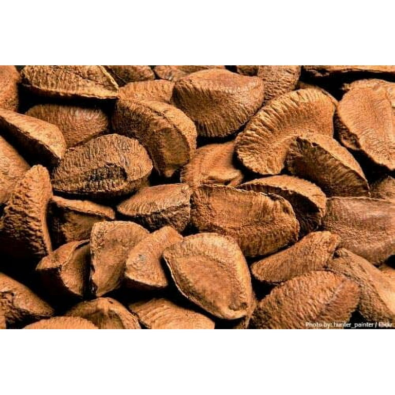 Brazil on sale nut husk