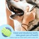 thumbnail image 5 of Juguete Para Perros, Accesorios Para Perros, Cuerda De Algodón, Cuerda Molar, Bola De Color, Anillo Único Para Mascotas, Masticar Para Perros, Limpieza De Dientes, Entrenamiento Al Aire Libre, Eigraketly PT001185-00, 5 of 6