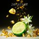 thumbnail image 2 of Aceite esencial Levona Scent 24K Allure 120 ml para difusores, 2 of 6