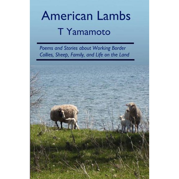 American Lambs: Poems and Stories about Working Border Collies, Sheep, Family,, (Paperback)