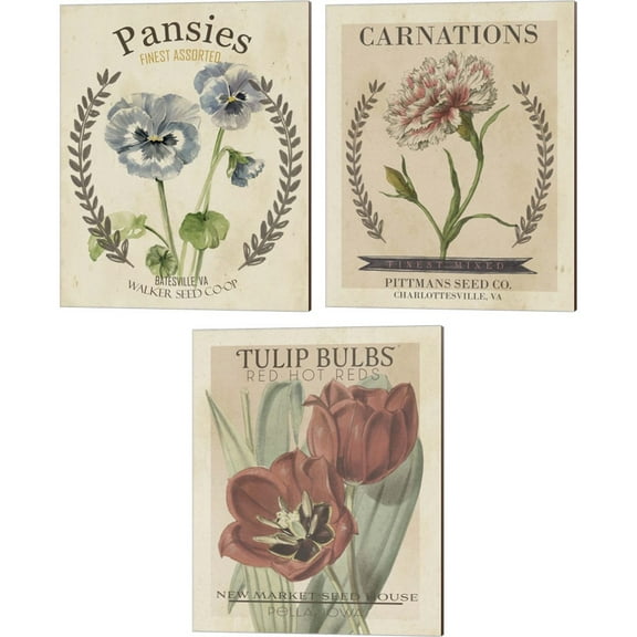 Great Art Now Vintage Seed Packets B by Studio W 3 Piece Canvas Art Set Each 12"W x 15"H