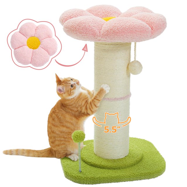 Poste rascador para gatos con flores árbol para gatos pequeños rascador alto para gatos de interior poste rascador súper grueso diá 5.5 pulgadas cama