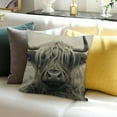 thumbnail image 3 of BANET Highland Throw Pillow Covers ,Decorative Print Pillow Covers for Couch,Western Decor Pillows,Square  Cushion Case, Decor Stuff for Couch Safa Chair Bed 18x18in, 3 of 5