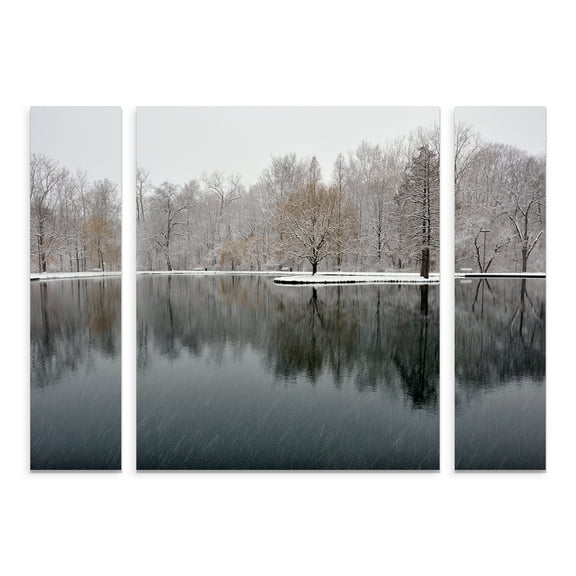 Trademark Fine Art 'Snowy Pond' Canvas Art by Kurt Shaffer