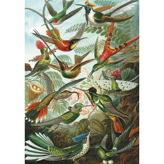 Hummingbirds, a 1000-piece Puzzle by Piatnik