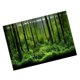 thumbnail image 5 of Póster de fondo de tanque de bosque submarino adhesivo de PVC para decoración (61 x 41 cm), 5 of 14