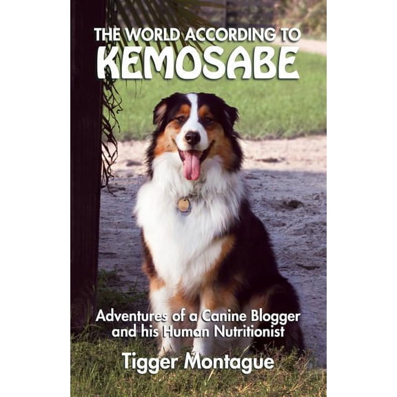 The World According to Kemosabe (Paperback)
