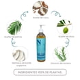 thumbnail image 2 of Dr. Natural Shampoo y Jabón Multiusos 473ml. Hierbabuena. 100% Natural. Bebé y Niño. 100% Hecho de Plantas y Aceites Naturales. Orgánico e Hipoalergénico., 2 of 7