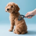 thumbnail image 3 of Cepillo suave y pequeño para el aseo, para eliminar el pelo muerto y el exceso de pelo; peine ligero para gatos y perros; cepillo alisador de fácil limpieza para uso doméstico, 3 of 7