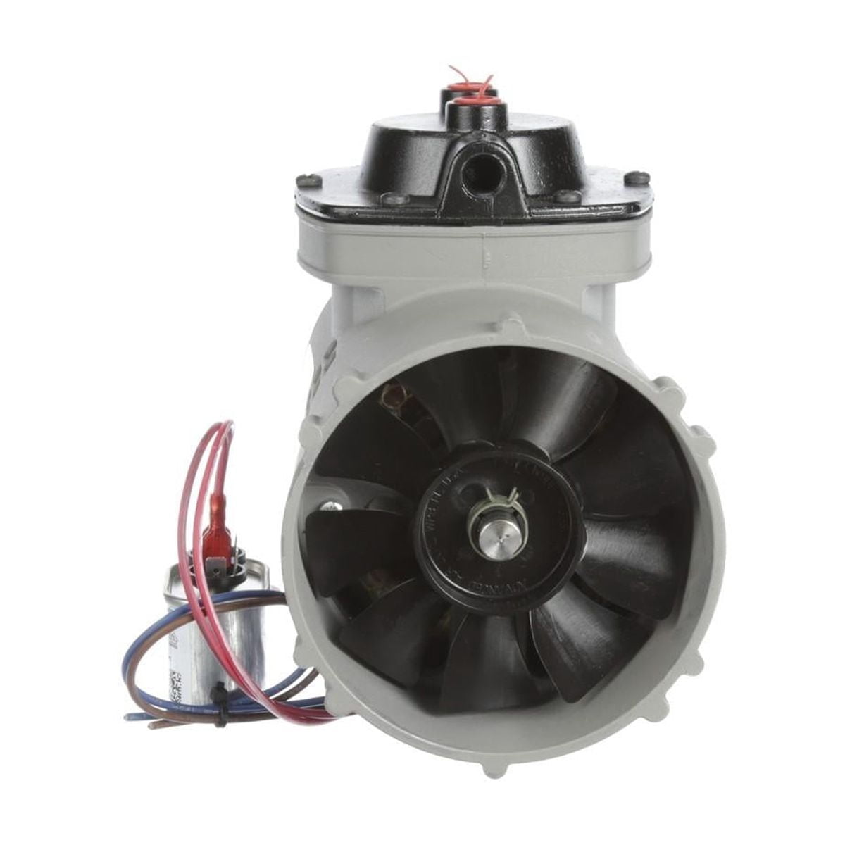 Accutemp AT1E-2703-1 Vacuum Pump, 12" Height, 12" Width, 12" Length