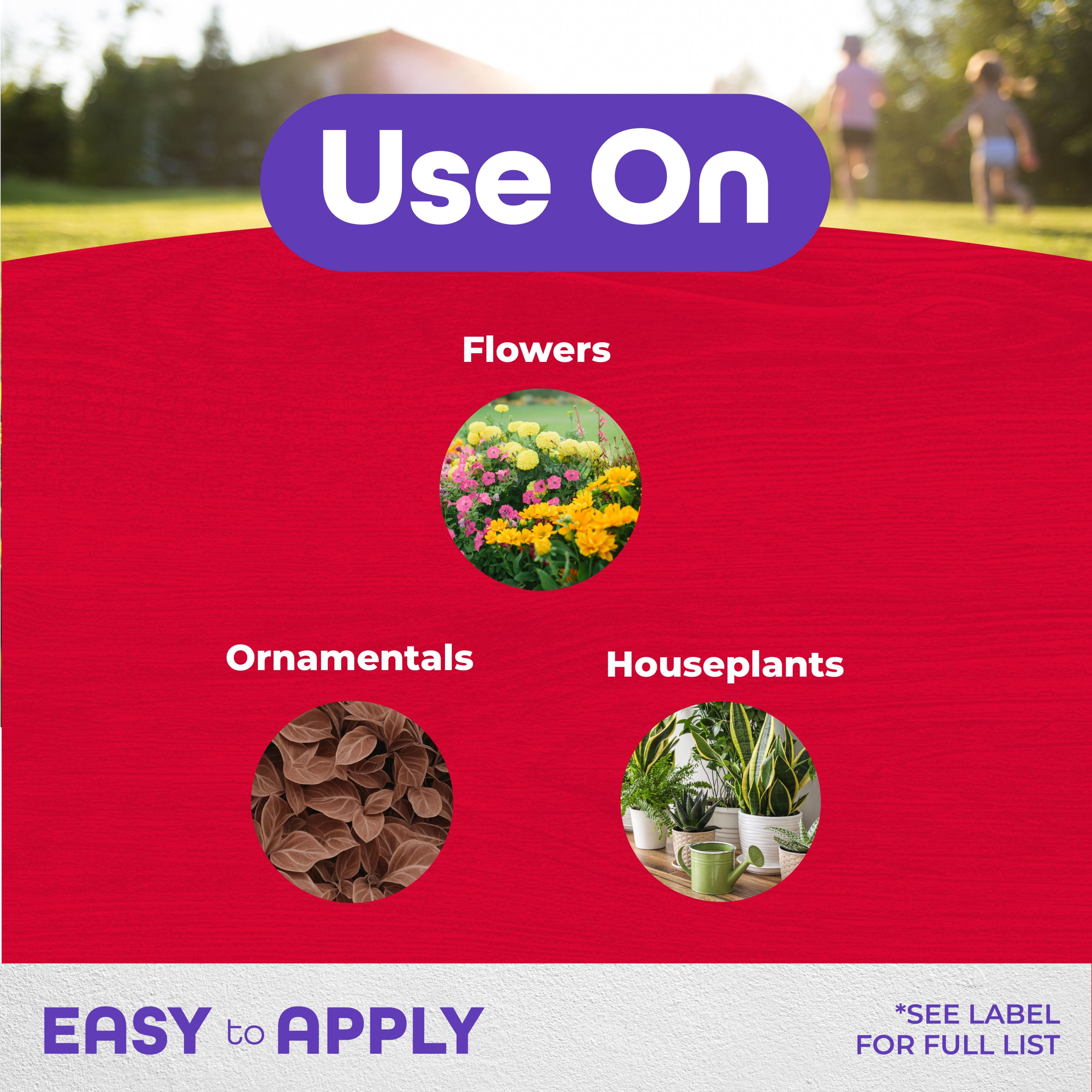 Bonide Systemic Houseplant Insect Control, 8 oz Ready-to-Use Granules for Indoors and Outdoors, Protects Plants from Insects