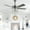 Chrome, variant on Cusp Barn 52 Inch 5 Wood Blades Ceiling Fan with Remote Control Industrial Crystal Shade Chrome Finish Chandelier for Living Room