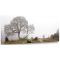 thumbnail image 2 of "Oak Tree - 24" By Alan Blaustein, Fine Art Giclee Print on Gallery Wrap Canvas, Ready to Hang, 2 of 2