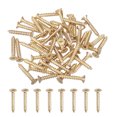 thumbnail image 1 of Uxcell 50Pcs ST5 x 30mm Pan Head Self Tapping Screws for Metal, Gold, 1 of 6