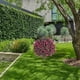 thumbnail image 5 of Arbusto al aire libre de la flor del boj de la rosa con los clavos de tierra de 22 pulgadas Arbusto verde usado para la decoración del patio del jardín del pórtico con las rosas y el boj verde, 5 of 5