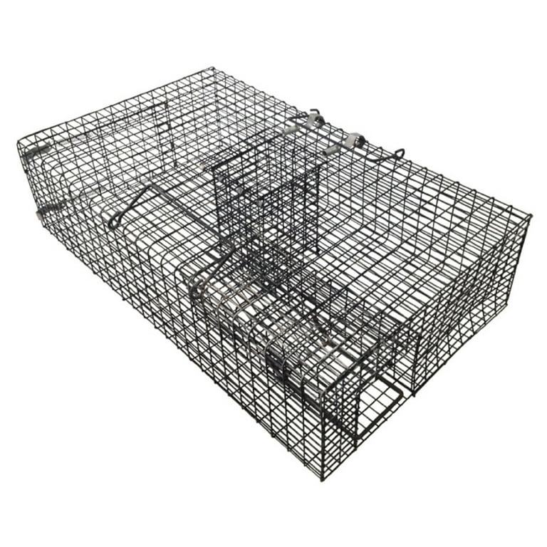 Rugged Ranch CHPTO Chipmunkinator Live Chipmunk Squirrel Metal 2 Door Cage  Trap - 14.5 x 14.5 x 4 inches - On Sale - Bed Bath & Beyond - 35416298
