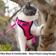 thumbnail image 3 of Arnés Reflectante para Gatos PurrTrek de Mr. Peanut con Correa a Juego, 3 of 3