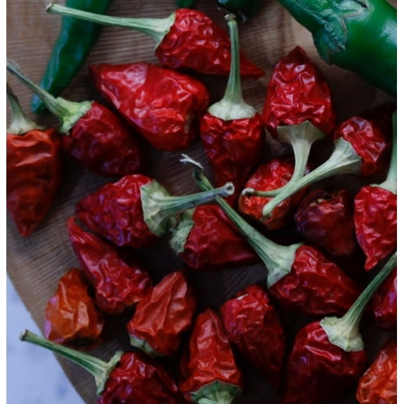 Biquinho Red Pepper Seeds/Annual/Full Sun/120 Seeds 1 Gram/Zellajake Farm and Garden - B358