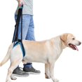 thumbnail image 1 of Arnés ajustable con soporte elevador para mascotas Rantow Blue (M), 1 of 9
