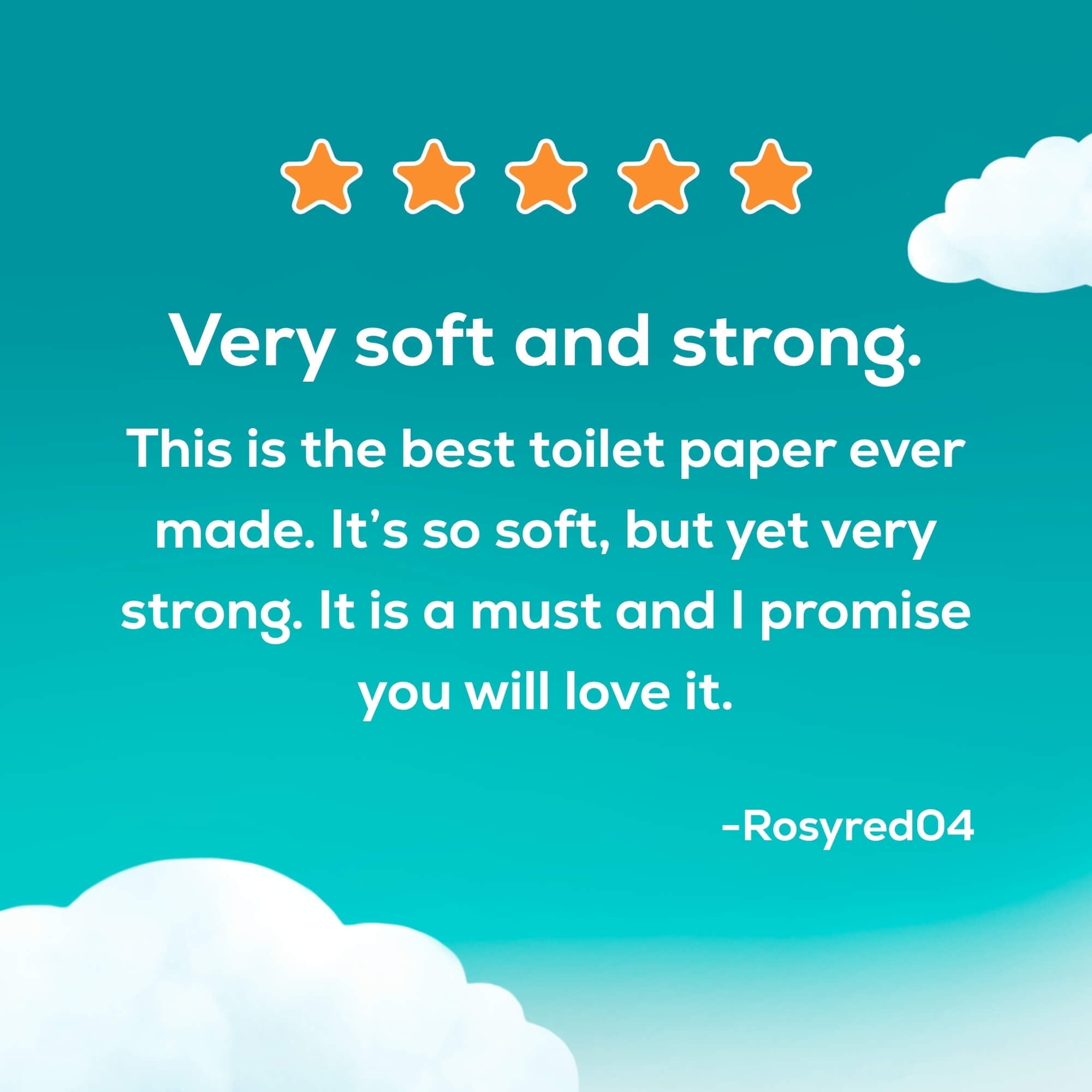 Angel Soft 2-Ply Toilet Paper, 12 Mega Rolls, 320 Sheets Per Roll