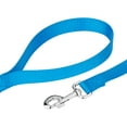 thumbnail image 3 of Country Brook Petz® 1 inch Nylon Dog Leash - Ice Blue, 6 Foot, 3 of 4