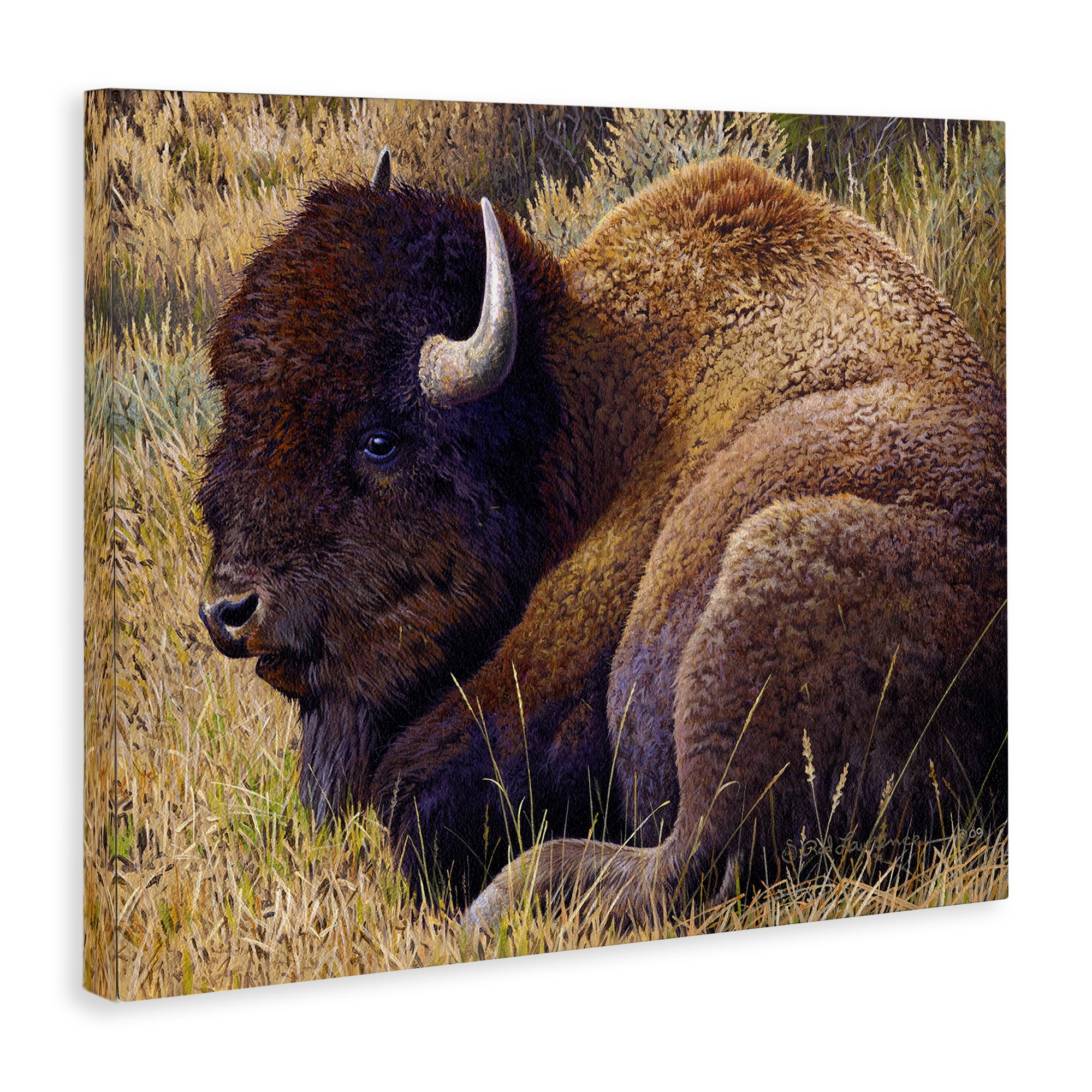 Stupell Industries Relaxing Young Bison Animals Painting Wrapped Canvas Art Print Wall Art, 20 x 16