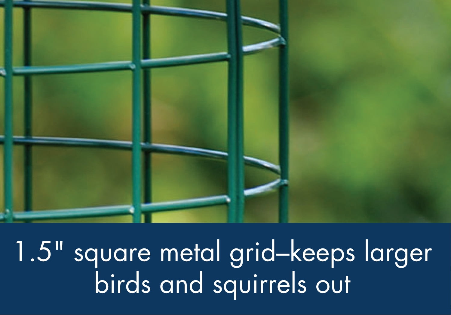 Woodlink Squirrel Resistant Plastic Tube Bird Feeder with Metal Cage