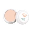 thumbnail image 2 of PVCS Concealer Dark Circles And Acne Marks Waterproof Anti-perspiration Moisturizing Foundation, 2 of 2