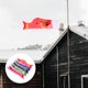 thumbnail image 5 of BRIGHTFUFU 5PCS Bandera de carpa japonesa Decoración Bandera japonesa de pez de viento suave (colorida), 5 of 7