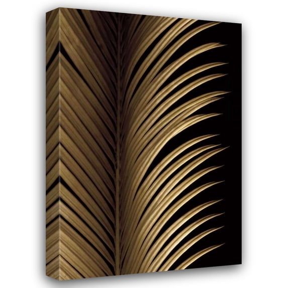 Andrew Levine 28x40 Gallery Wrapped Canvas Wall Art Titled - Tropical Leaf Study I