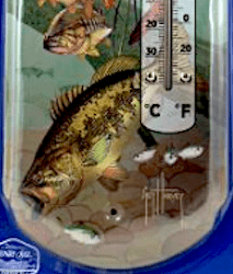 Thermometer Hanging Metal ~ 22 Gauge Metal Lithograph Print Measures 5" x 17" Indoors or Outdoors {Guy Harvey Fish}
