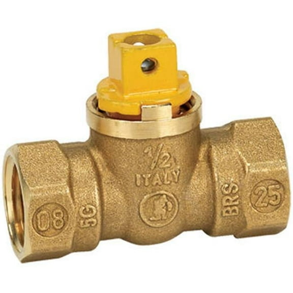 Homewerks VGV1FSB3BB 0.5 in. Brass Gas Ball Valve