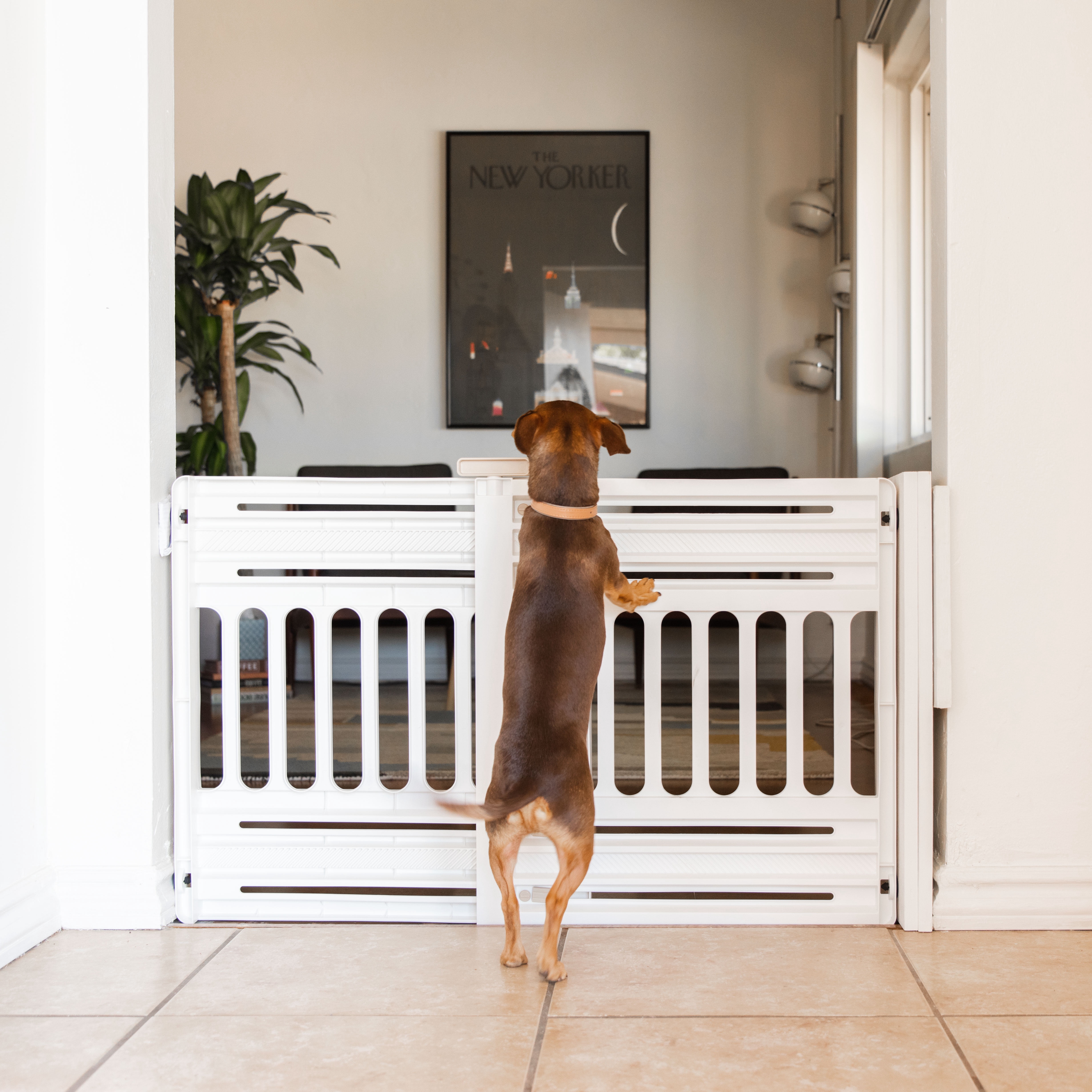 IRIS 24"-39" Portable Expandable Pet Gate, Adjustable Pet Barrier for Puppy Small Dog Fits Most Doorways Easy