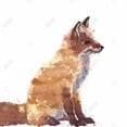 thumbnail image 3 of Renard Roux - Toile 24"x24 Pouces - Impression sur Demande, 3 of 5
