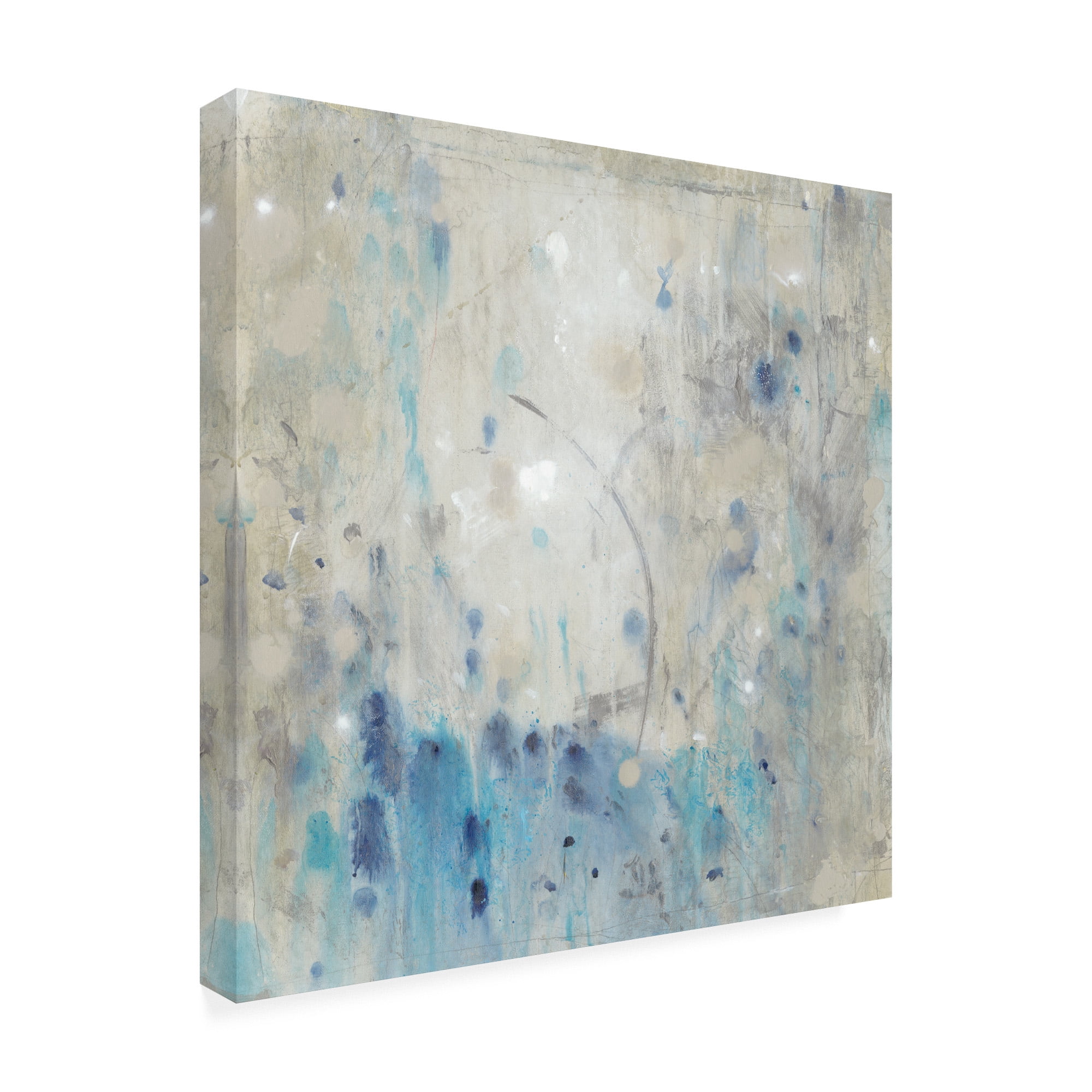 Trademark Fine Art 'Blue Wandering I' Canvas Art by Tim O'Toole