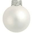 thumbnail image 2 of 6ct Matte Fish Silver Glass Ball Christmas Ornaments 4" (100mm), 2 of 4